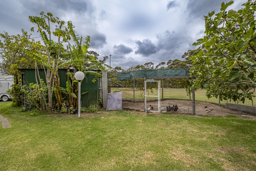 4 Bedroom Property for Sale in Greenbushes Eastern Cape